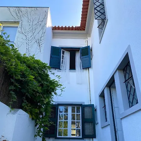The Porto